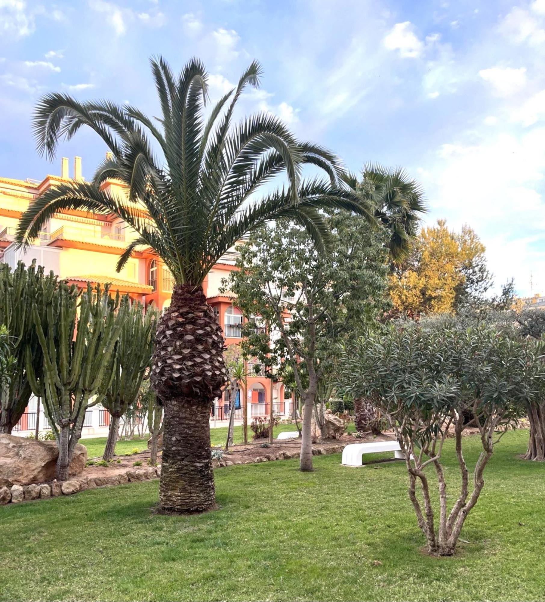 Grace Torrevieja Exterior foto